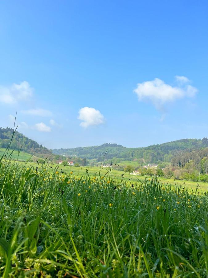 Black Forest Apartments Gengenbach Luaran gambar